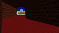 Clover in the Plexus (SM64 B3313) 5.../6