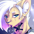 Rado by danjiisthmus
