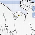 BUNDLE: Hawks by NorthernRed