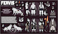 Fervis Ref - SFW