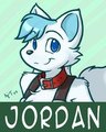 Minty Jordan Badge by Ajin