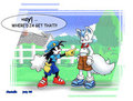 About the Collar by FoxTails