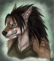 Tolga Worgen