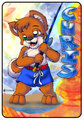 Chris Shiba Summer Tag