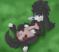 Furfrou Caught a Fox (X-ray)