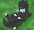 Furfrou Caught a Fox