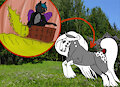 Different Kind of Pony Ride
