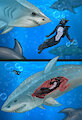 Shark Food by madaraoluv2