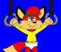 Vinnie the Fox in the Nonbinary Workout
