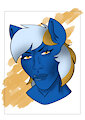 Nitobit chad mew face