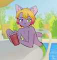 a summer coda by strayrozerem