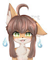 uwu