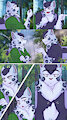 Hidden Falls Page Three
