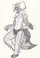Coyote Cowboy