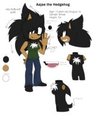 .:Ref:. Aajae the Hedgehog by SilverSonic25