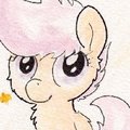 Cute Pony