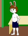 Fursona