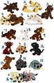 CHEAP LION CUB ADOPTABLES!!