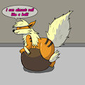 Round Arcanine
