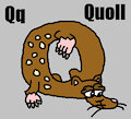 Q is for Quoll #3 (My Version) - Quoll (Alphabetimals) by ToonDisneyXD2009