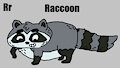 R is for Raccoon #3 (My Version) - Raccoon (Ollie's Pack) by ToonDisneyXD2009