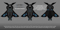 Lunarian Species Ref by SilverTheWolfDragon