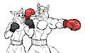 Kodi and dad's punches