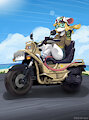 Mouse_Bike by MrShin