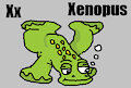 X is for Xenopus #3 (My Version) - Xenopus (Alphabetimals)
