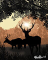Forest Folk