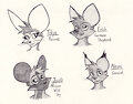 Characters 1
