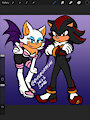 Rouge and Shadow