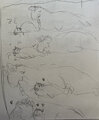 Rough seals AU comic