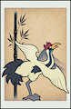 Manchurian Crane by NinjaGuy25