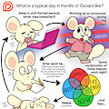 Ask Box 87: Typical Day by Nishi