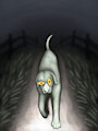 rotten dog