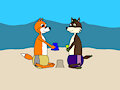 Beach foxes by 00aa