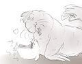 Seals Atom and Tenma ( gift )