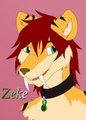 Zeke (Cooncub)