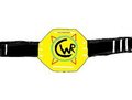 RWF: Cruiser Weight Reptitle