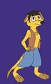 Helix Meerkat by RollerCoasterViper59