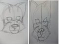 Front View Comparison 