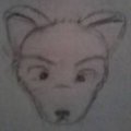 Dog  by Bladepup