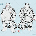 Sal Dwight Tiger Reference Sheet by LittleHyper