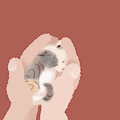 The tiniest kitten