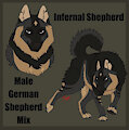 Akira ref sheet