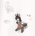 Shirt Thief :3c by EclypseSkunk