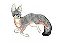 Gus the gray fox by Cheetahmikey