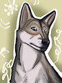 Portrait practice by RipleyNeko
