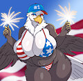 4th of July! by Spoldier
